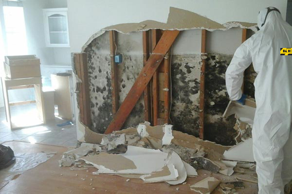 Keers Remediation Inc